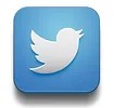 Twitter-Icon.jpg
